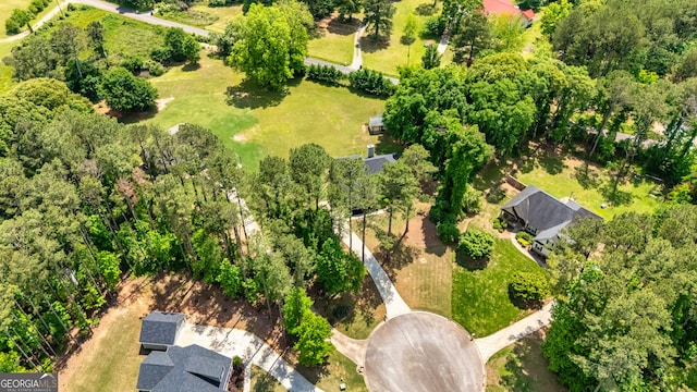 bird's eye view