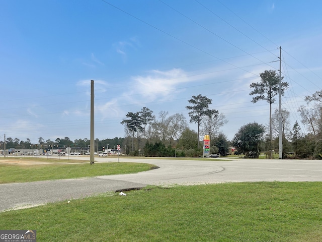 0 State Highway 32 W, Leesburg GA, 31763 land for sale