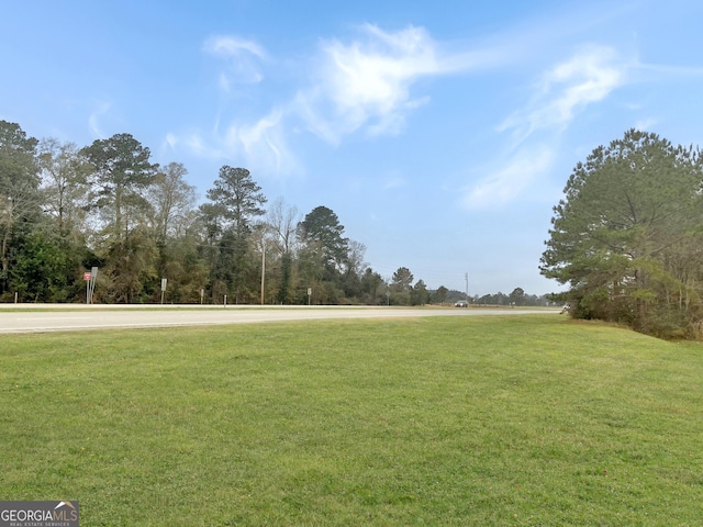 Listing photo 2 for 0 State Highway 32 W, Leesburg GA 31763