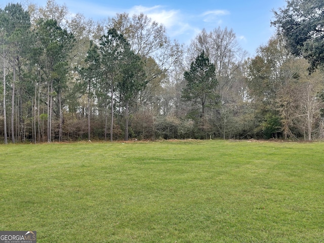 Listing photo 3 for 0 State Highway 32 W, Leesburg GA 31763