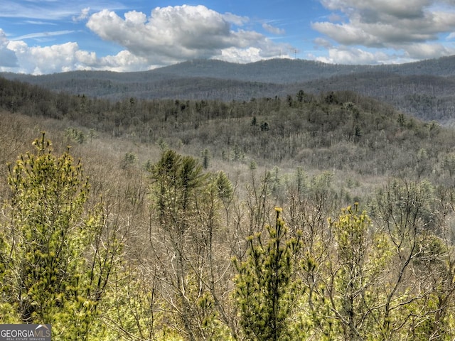 mountain view featuring a wooded view