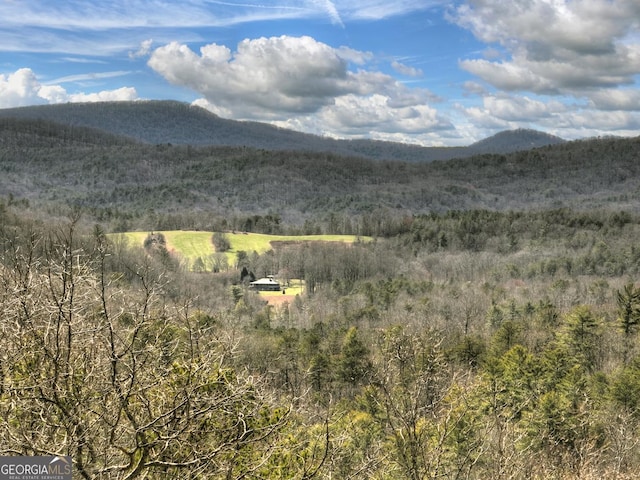 view of mountain feature with a forest view