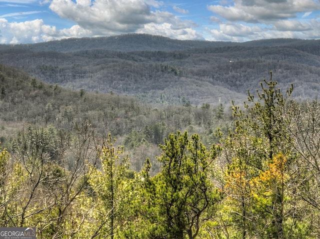 mountain view with a forest view