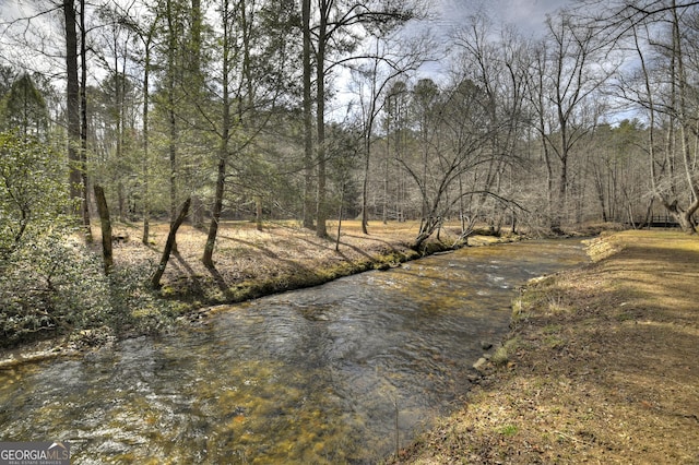 view of water feature with a wooded view