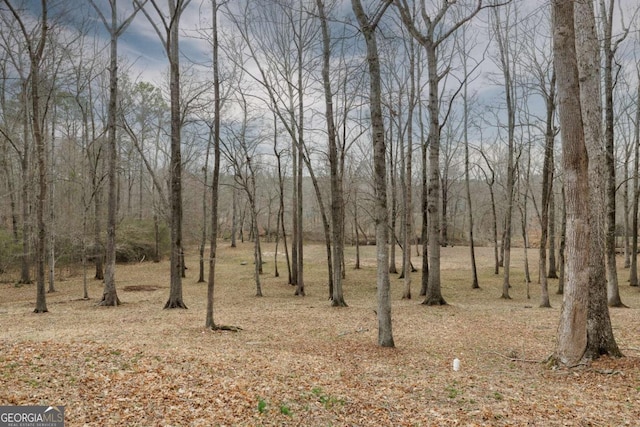 view of local wilderness