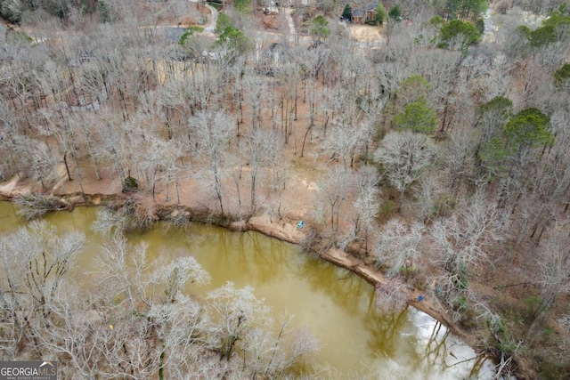 bird's eye view with a forest view and a water view