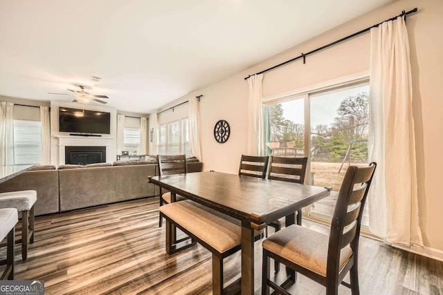 dining space with wood finished floors, plenty of natural light, a glass covered fireplace, and ceiling fan