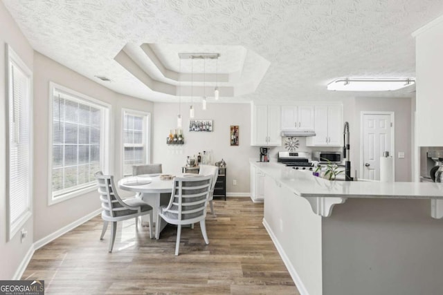 dining area featuring a tray ceiling, light wood-style flooring, and a textured ceiling