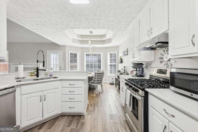 kitchen featuring a tray ceiling, a sink, stainless steel appliances, light countertops, and under cabinet range hood