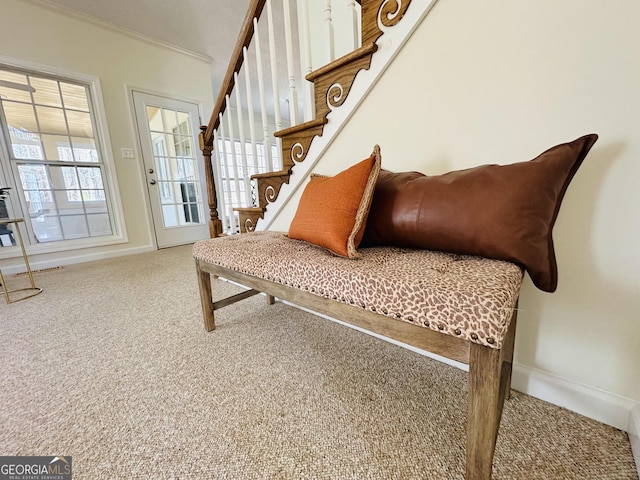 living area with crown molding, baseboards, stairs, and carpet