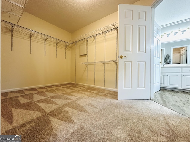 walk in closet with light carpet