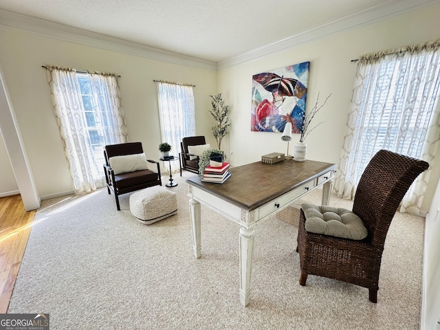 office space featuring wood finished floors, a textured ceiling, and ornamental molding