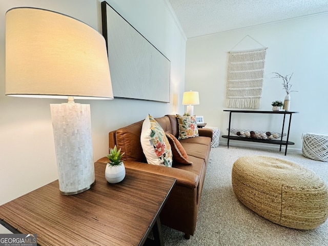 living area with a textured ceiling, carpet flooring, and ornamental molding