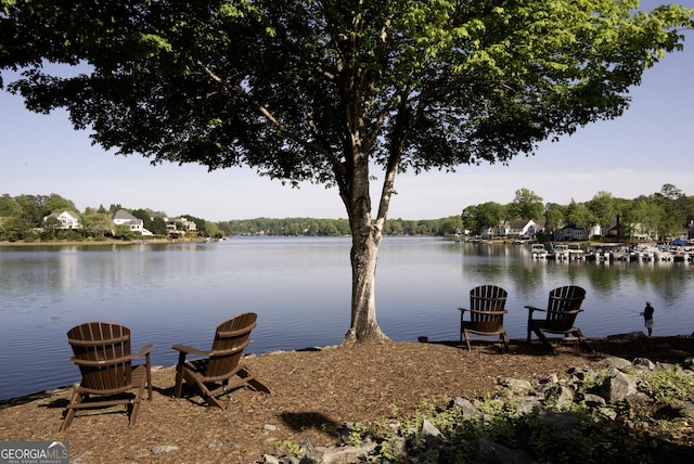 dock area featuring a water view