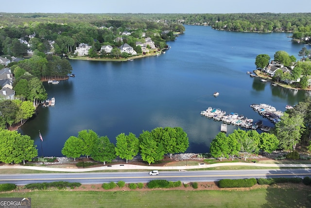 bird's eye view featuring a forest view and a water view
