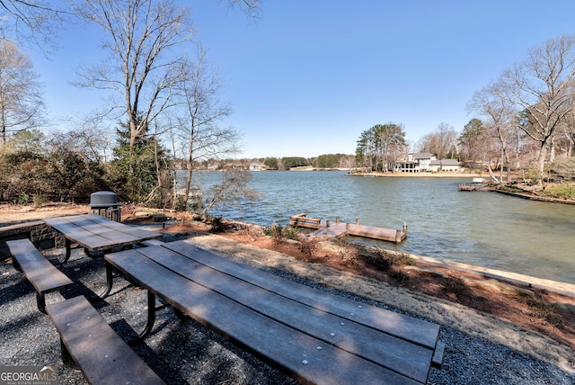 dock area with a water view