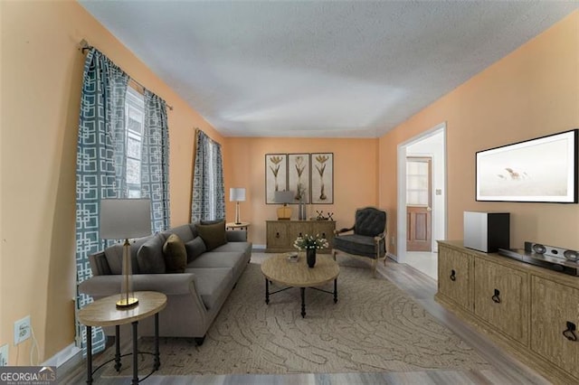 living area with baseboards, a textured ceiling, and wood finished floors