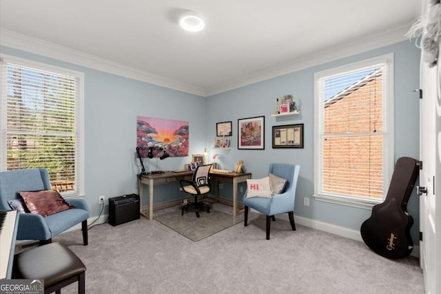 carpeted office with a wealth of natural light and crown molding