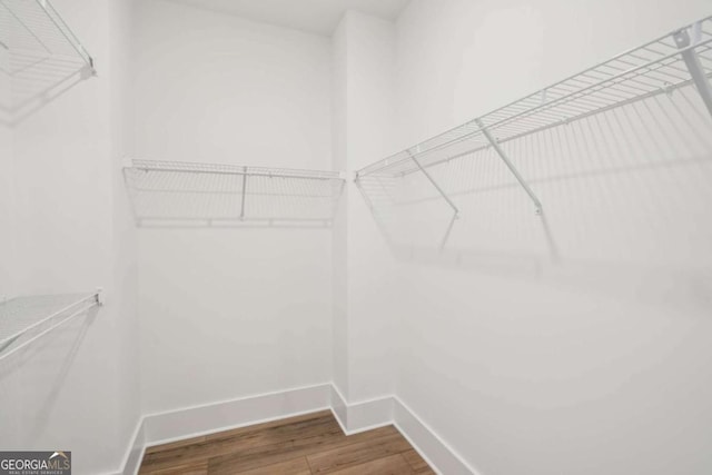 spacious closet featuring wood finished floors