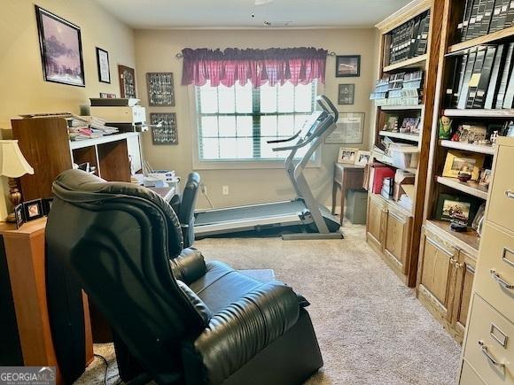 exercise area with carpet floors