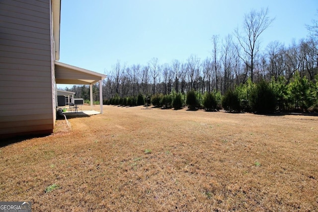 view of yard featuring a patio