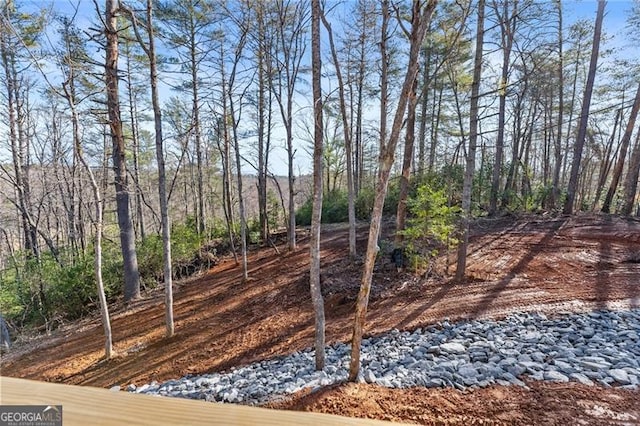 view of nature featuring a forest view