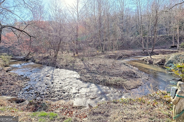 view of water feature with a wooded view