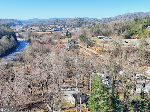 birds eye view of property featuring a mountain view