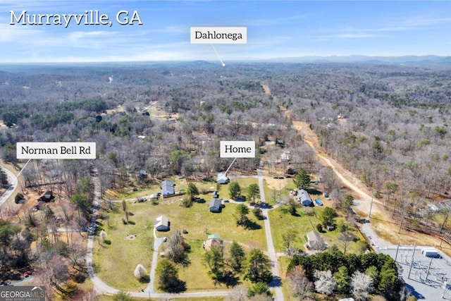 bird's eye view with a view of trees