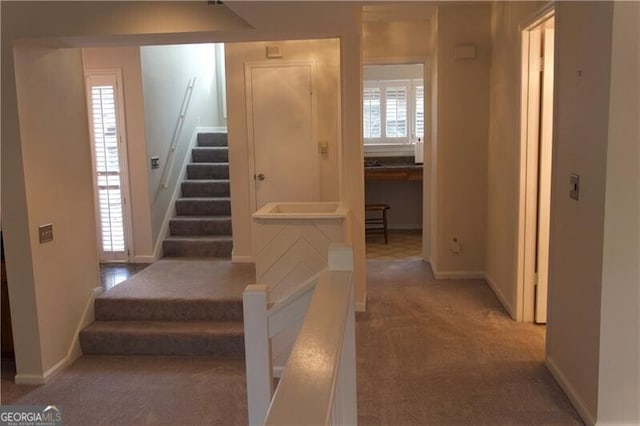 stairs featuring baseboards and carpet