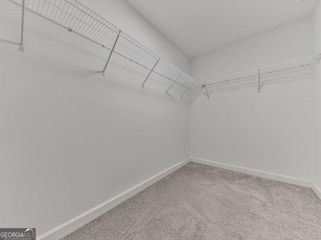 spacious closet featuring carpet