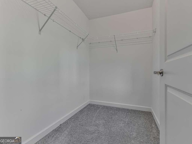 walk in closet featuring carpet