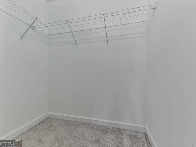 walk in closet featuring carpet flooring