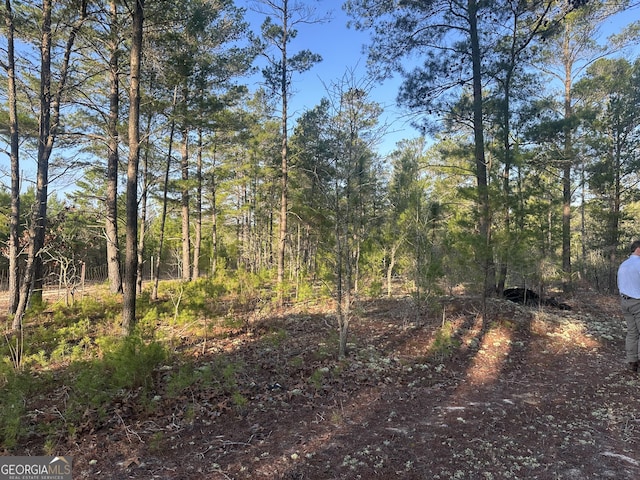 Listing photo 3 for 4.78ACRES Horne Rd, Roberta GA 31078