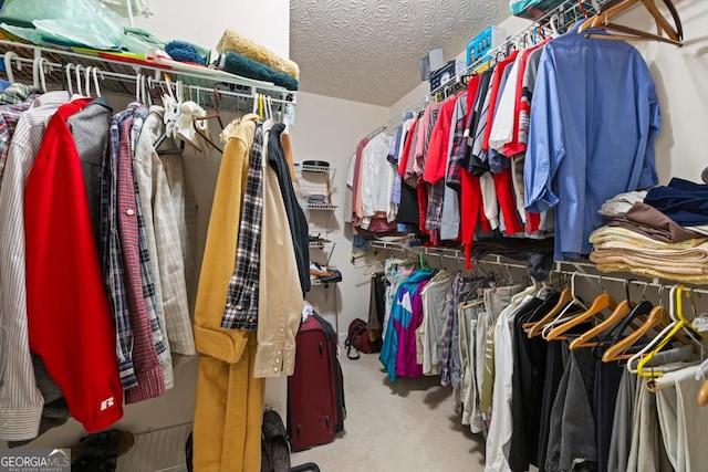 spacious closet with carpet floors