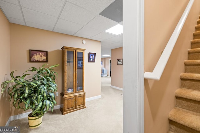 stairs with carpet flooring, baseboards, and a drop ceiling