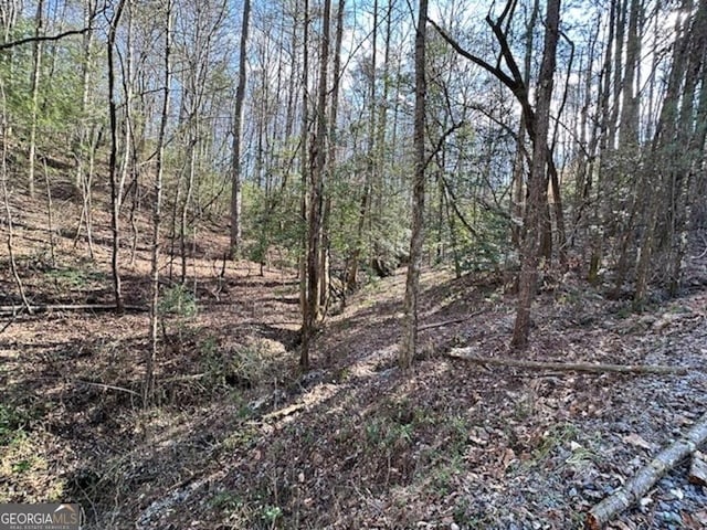 Listing photo 2 for LOT3764-R Eagle Mtn, Ellijay GA 30540