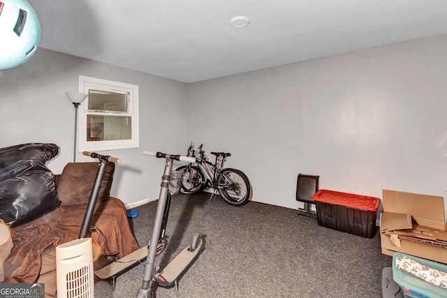 5545 Circlestone Ln, Stone Mountain, GA 30083 - exercise room with carpet flooring
