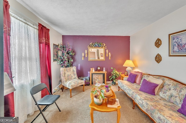 carpeted living area with a textured ceiling