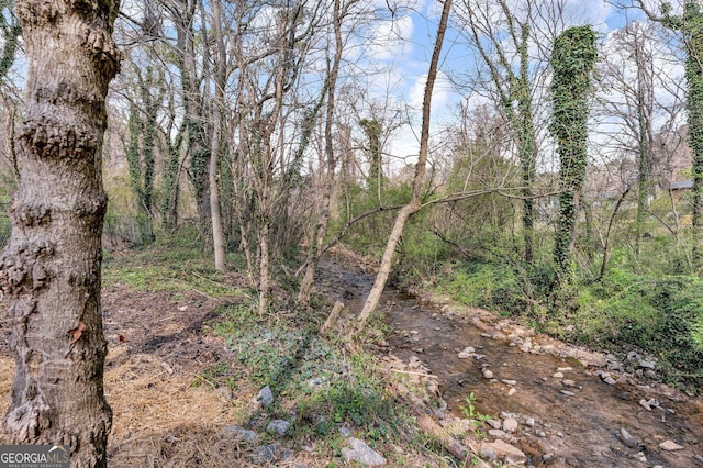 926 Natham Dr SE, Atlanta, GA 30315 - view of landscape with a view of trees
