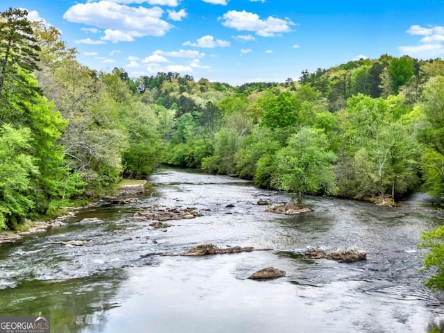property view of water with a forest view