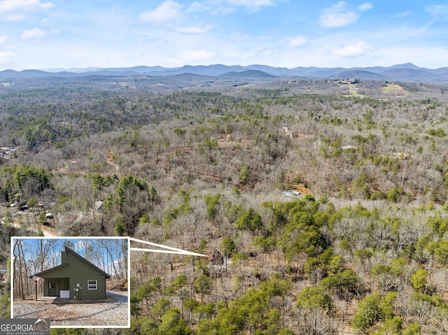 bird's eye view featuring a mountain view