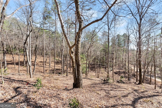 view of local wilderness with a wooded view