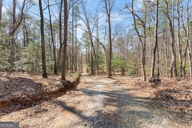 view of street with a wooded view