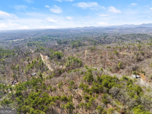 birds eye view of property featuring a mountain view and a wooded view