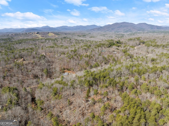 property view of mountains