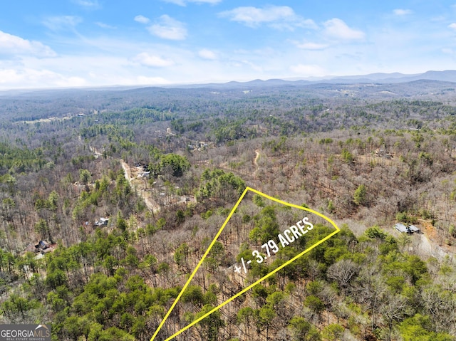 bird's eye view with a mountain view and a forest view