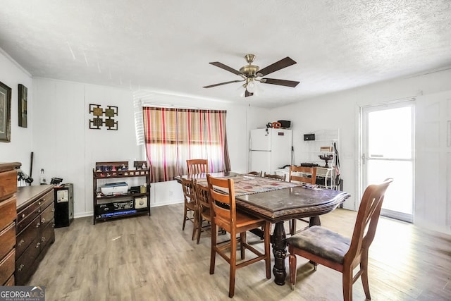 dining room featuring light wood-style floors, ceiling fan, and a textured ceiling