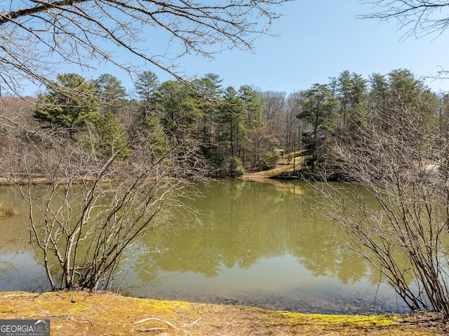 view of water feature with a wooded view