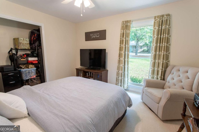 bedroom with access to exterior, multiple windows, a closet, and carpet floors